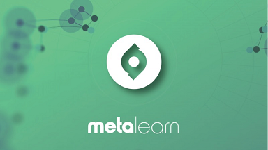 ۱۳. MetaLearn