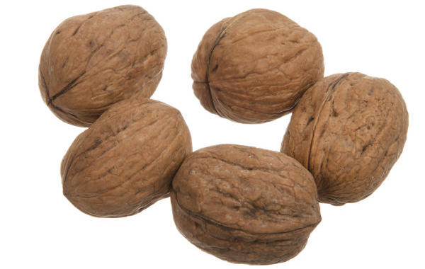 گردو