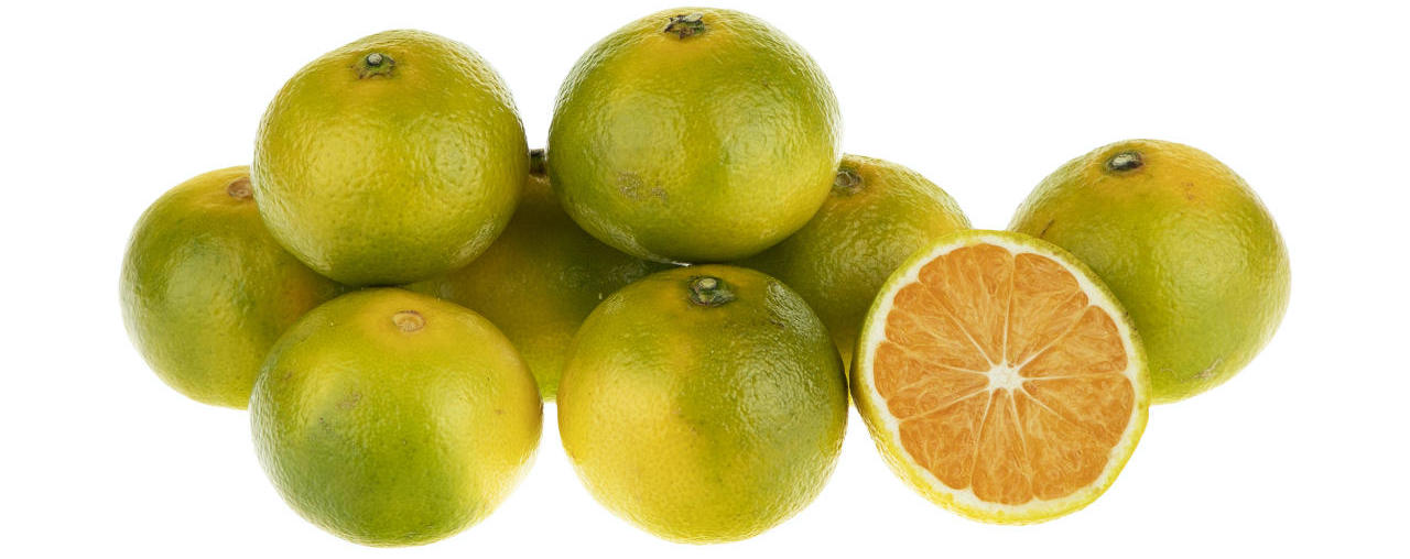 نارنگی