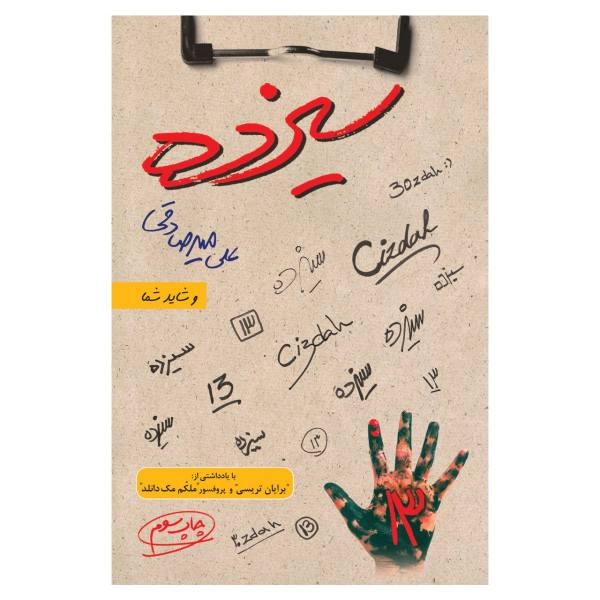 کتاب سیزده اثر علی میرصادقی