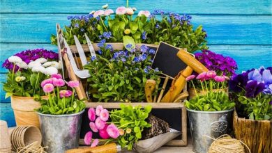 وسایل باغبانی