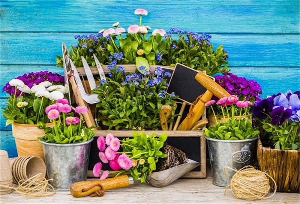 وسایل باغبانی