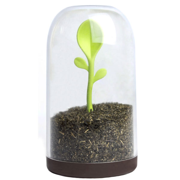 ظرف نگهدارنده چای و قهوه طرح برگ