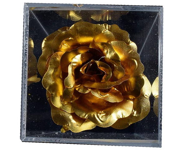 شاخه گل رز طلایی مدل Golden Rose 04