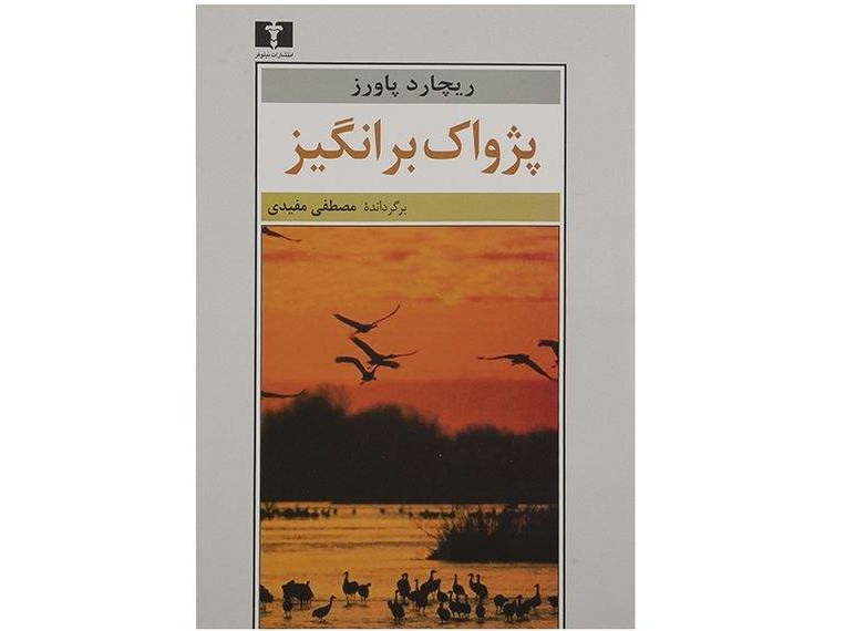 پژواکانگیز