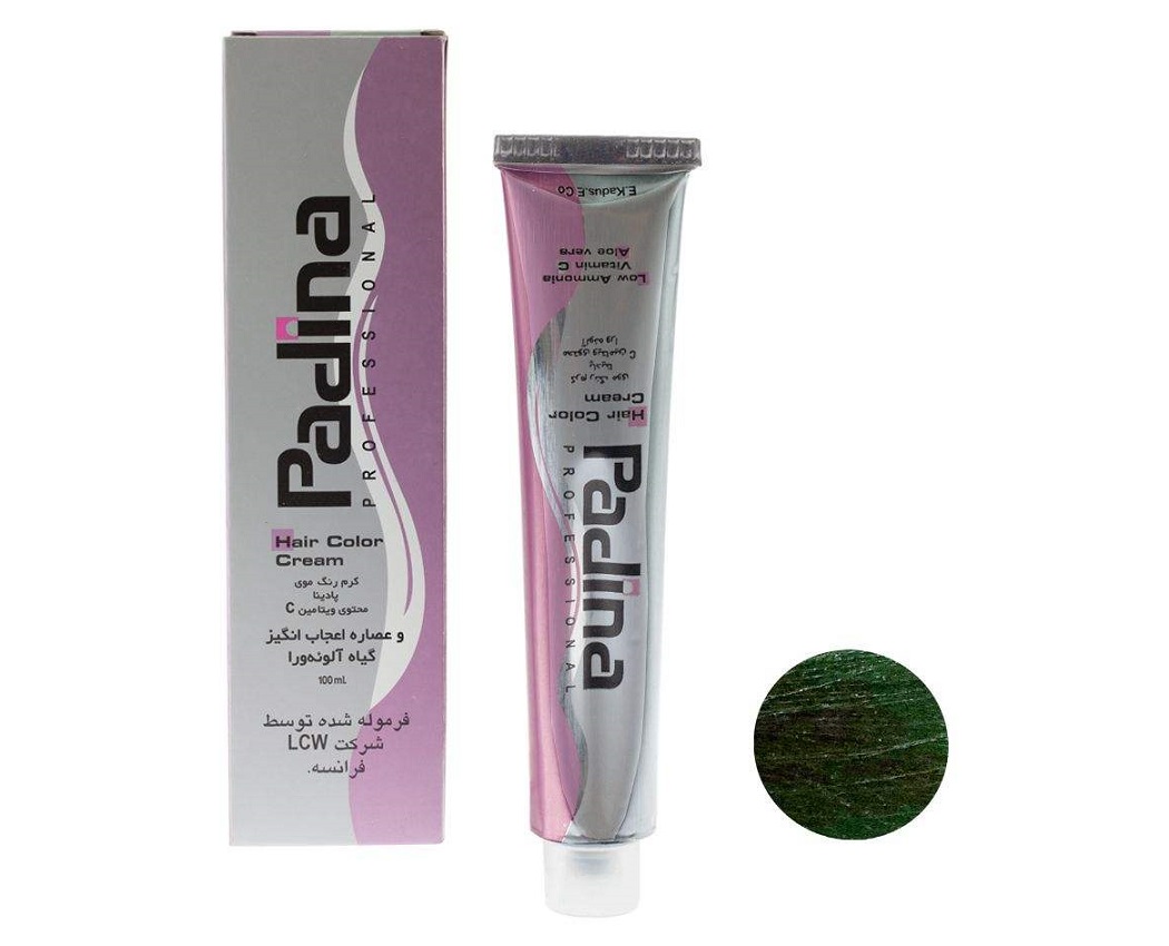 واریاسیون پادینا شماره E17-0-22 حجم 100 میلی لیتر رنگ سبز