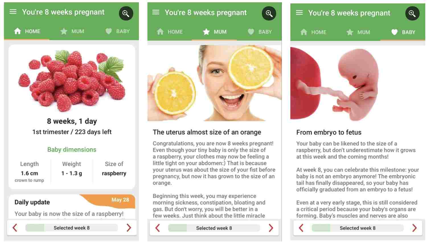 2. اپلیکیشن Pregnancy Week by Week