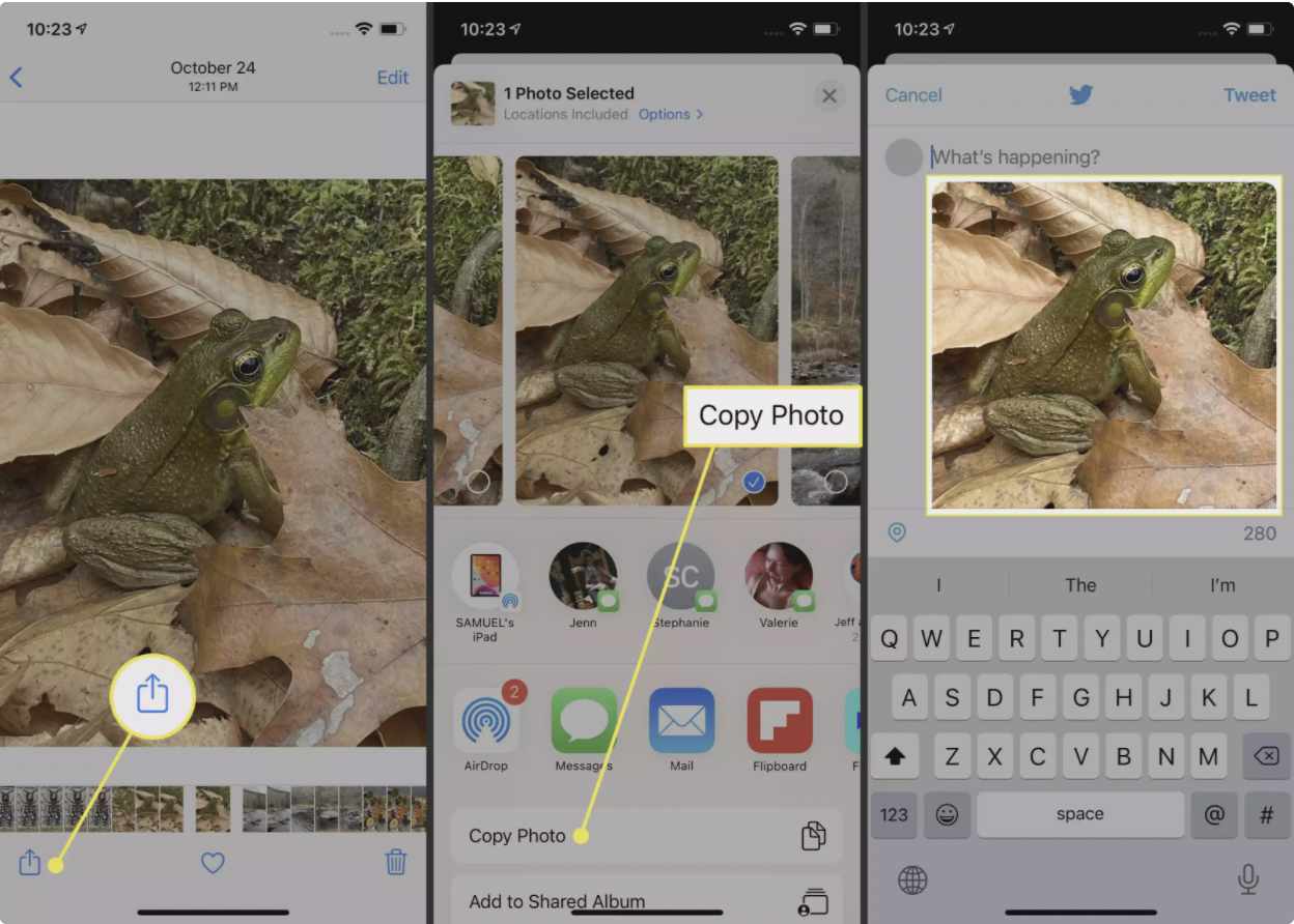 چگونه اسکرینشاتهای آیفون ۱۲ را به اشتراک بگذاریم؟