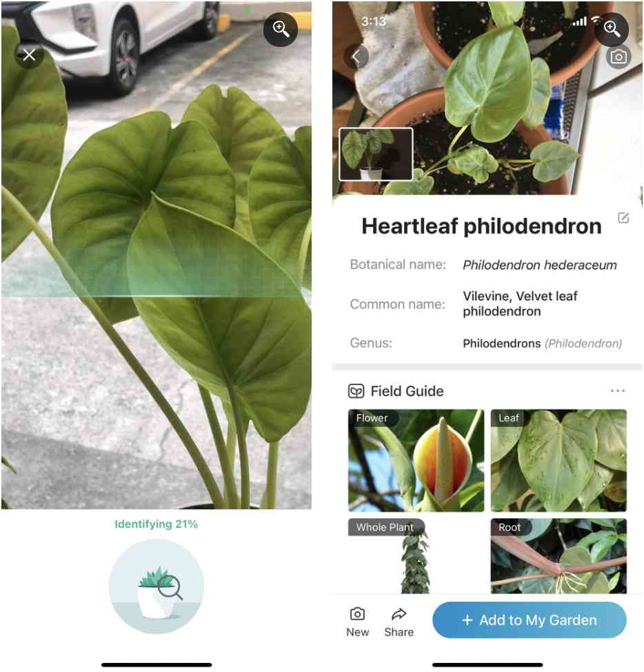 1. اپلیکیشن PictureThis