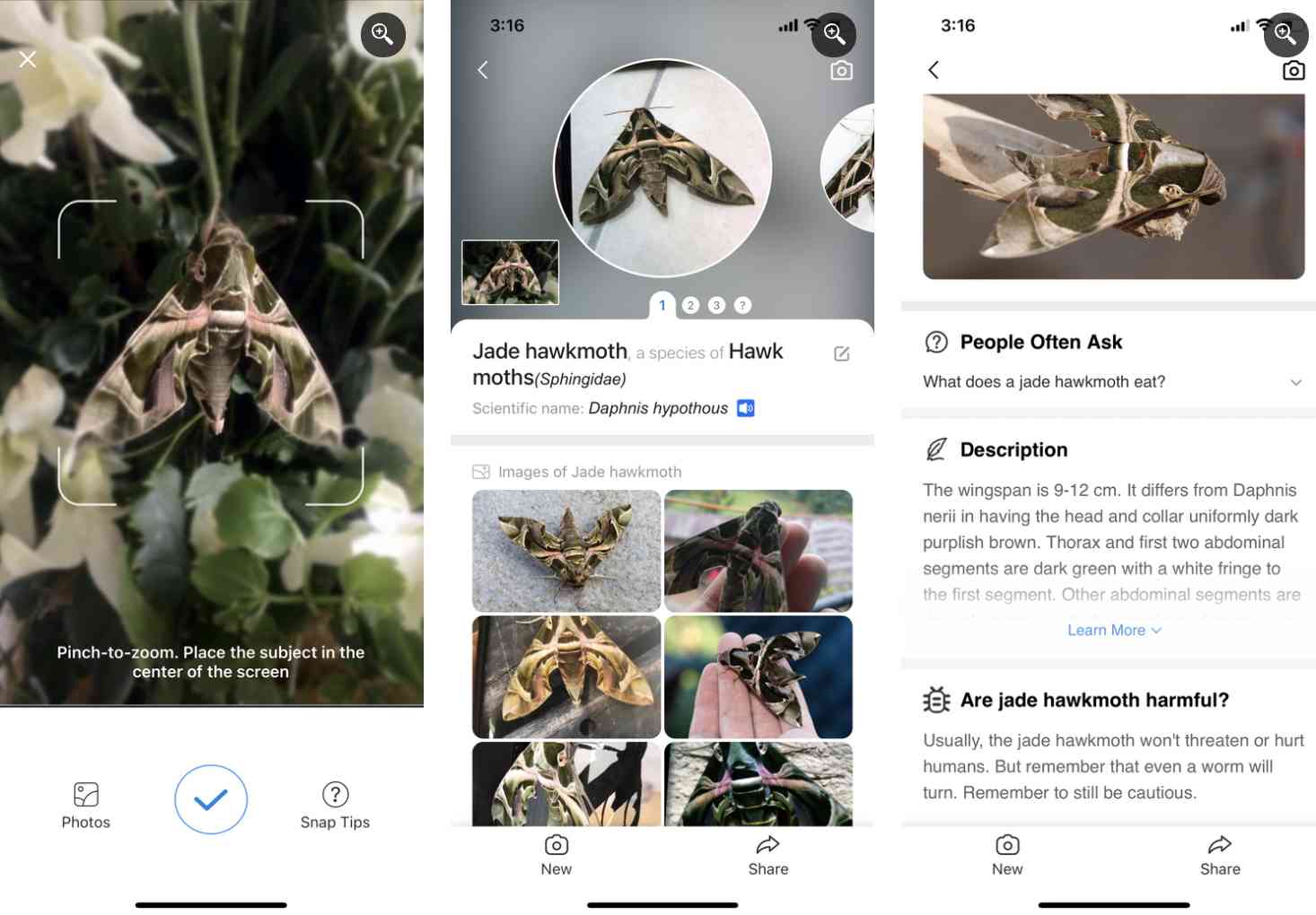 2. اپلیکیشن Picture Insect