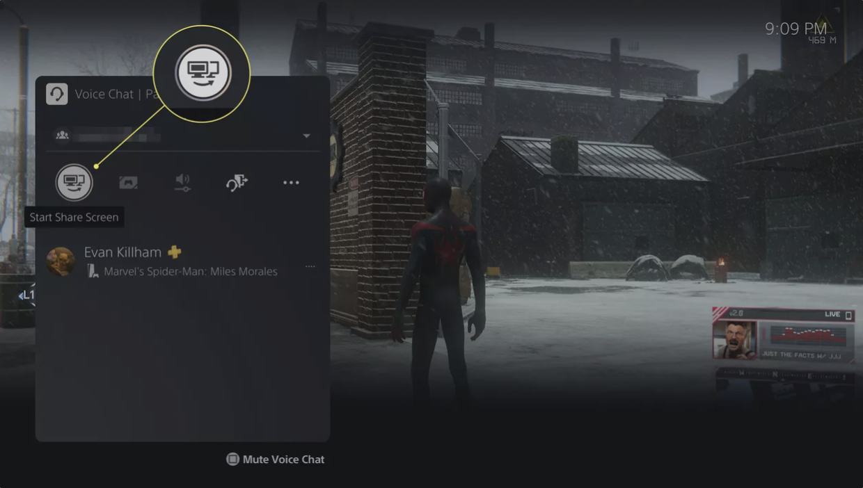 گزینه‌ی Start Share Screen
