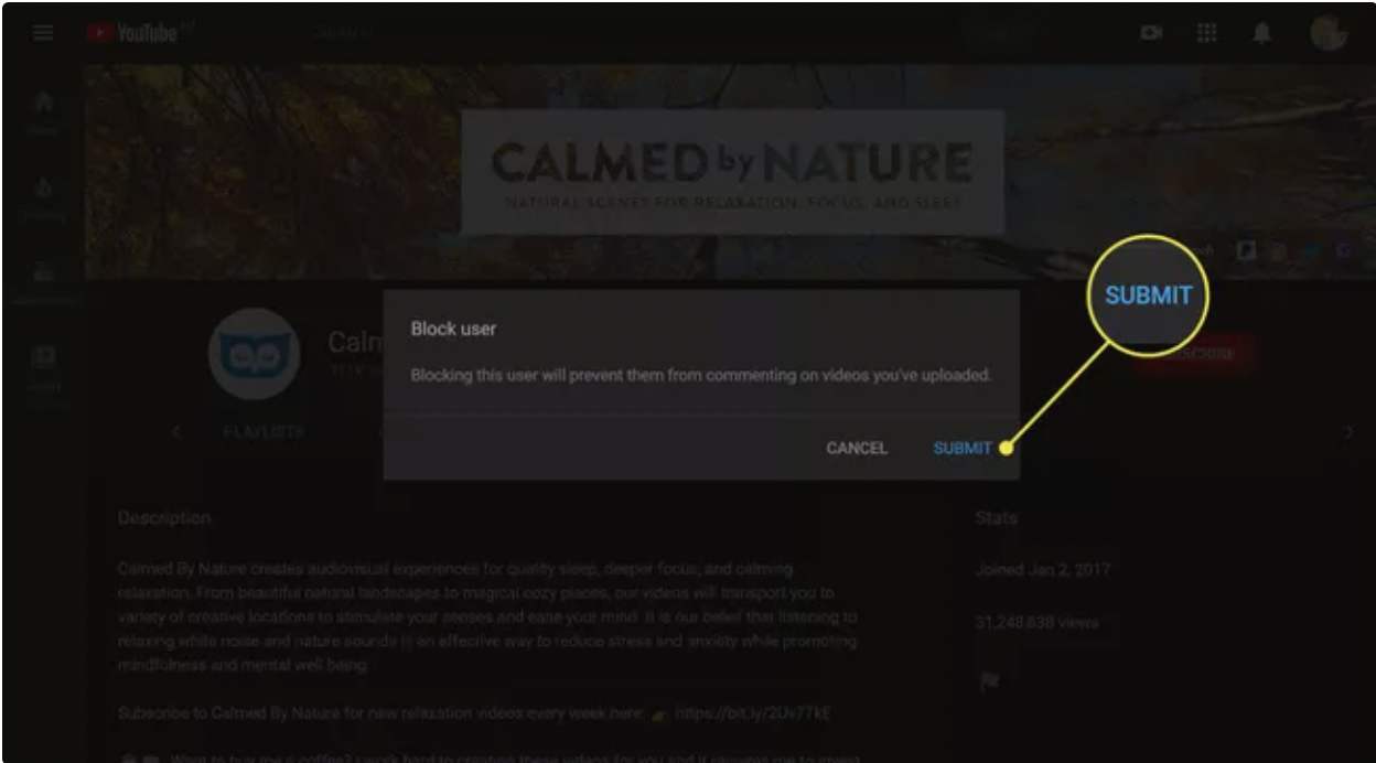 چگونه کانال یوتیوب دیگری را از طریق وبسایت بلاک کنیم