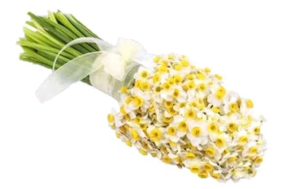 دسته گل نرگس
