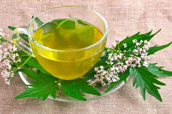 خواص دمنوش سنبل‌الطیب