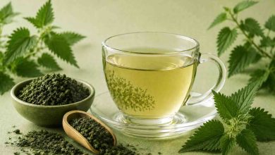 خواص دمنوش گزنه