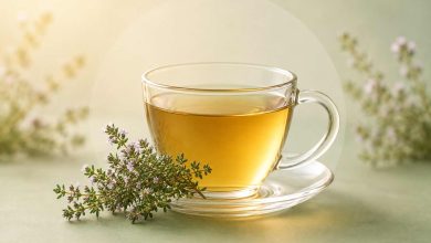خواص دمنوش آویشن؛ از کمک به سلامت دستگاه تنفس تا تقویت گوارش و خواص آنتی‌اکسیدانی