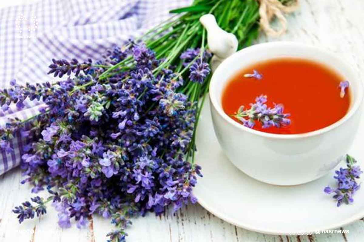 خواص دمنوش اسطوخودوس