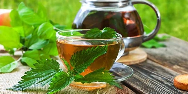 خواص دمنوش گزنه