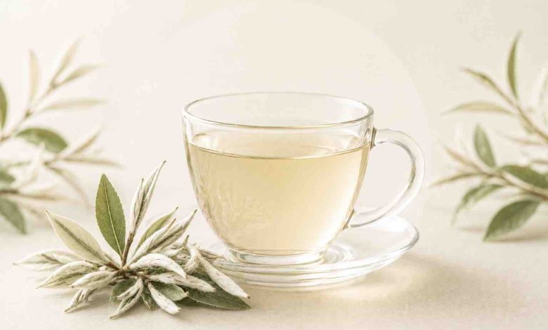 خواص دمنوش چای سفید