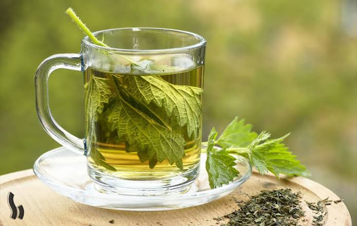 خواص دمنوش گزنه